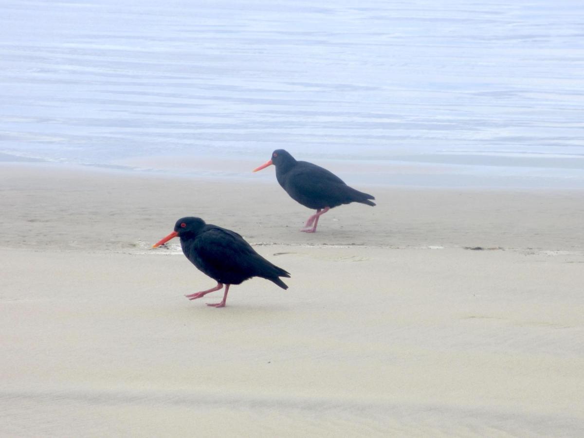 Owaka Catlins Lake Sanctuary מראה חיצוני תמונה