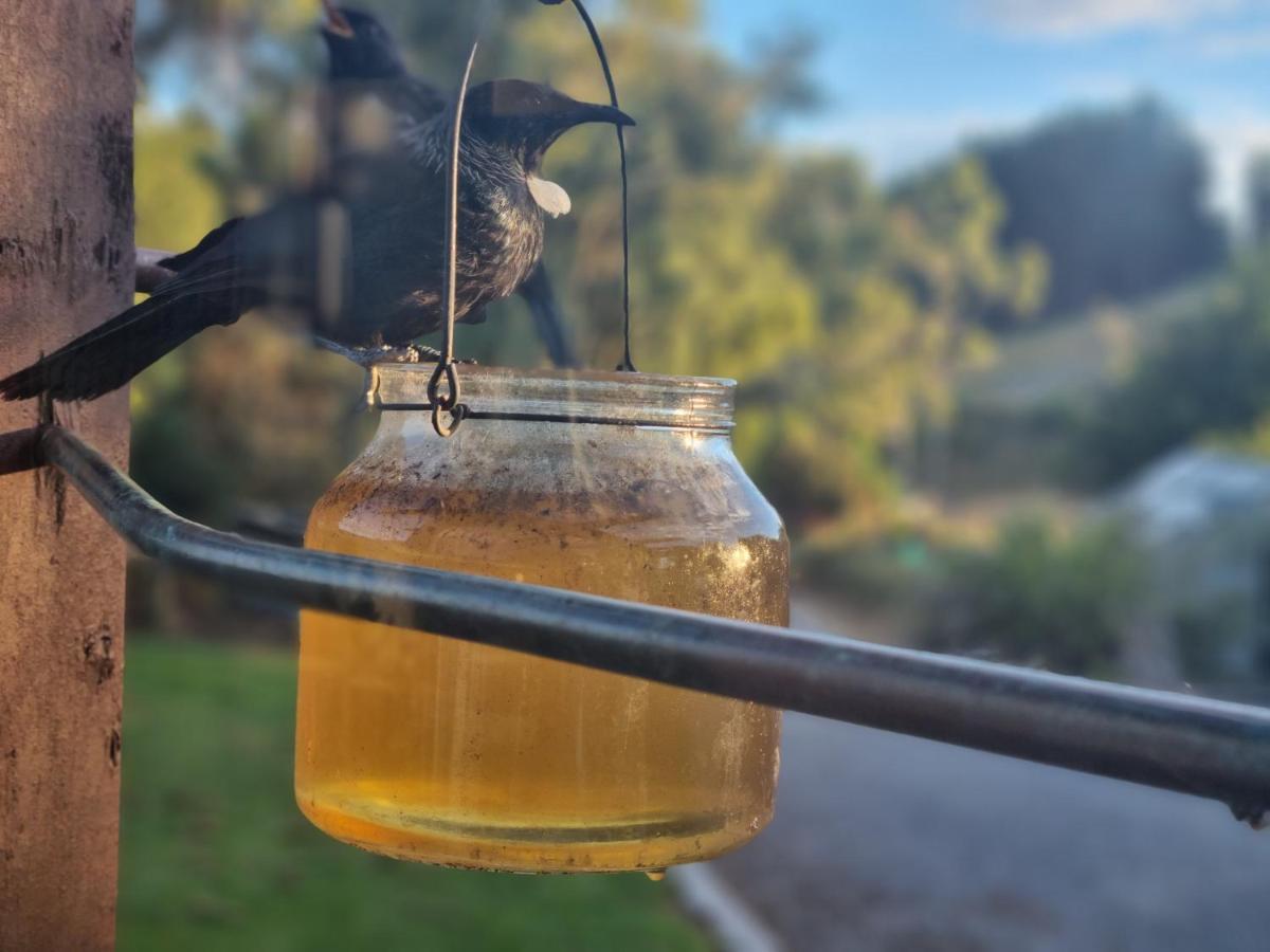 Owaka Catlins Lake Sanctuary מראה חיצוני תמונה