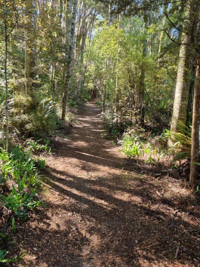 Owaka Catlins Lake Sanctuary מראה חיצוני תמונה