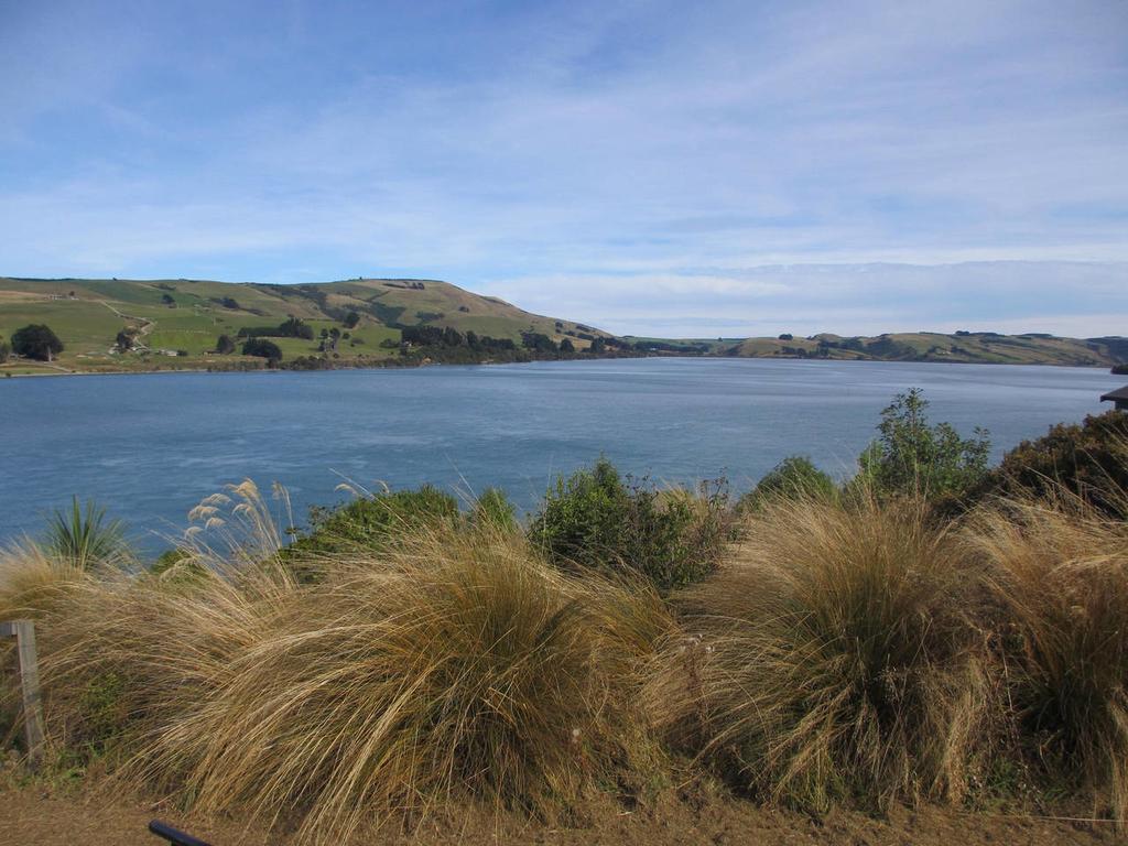 Owaka Catlins Lake Sanctuary מראה חיצוני תמונה
